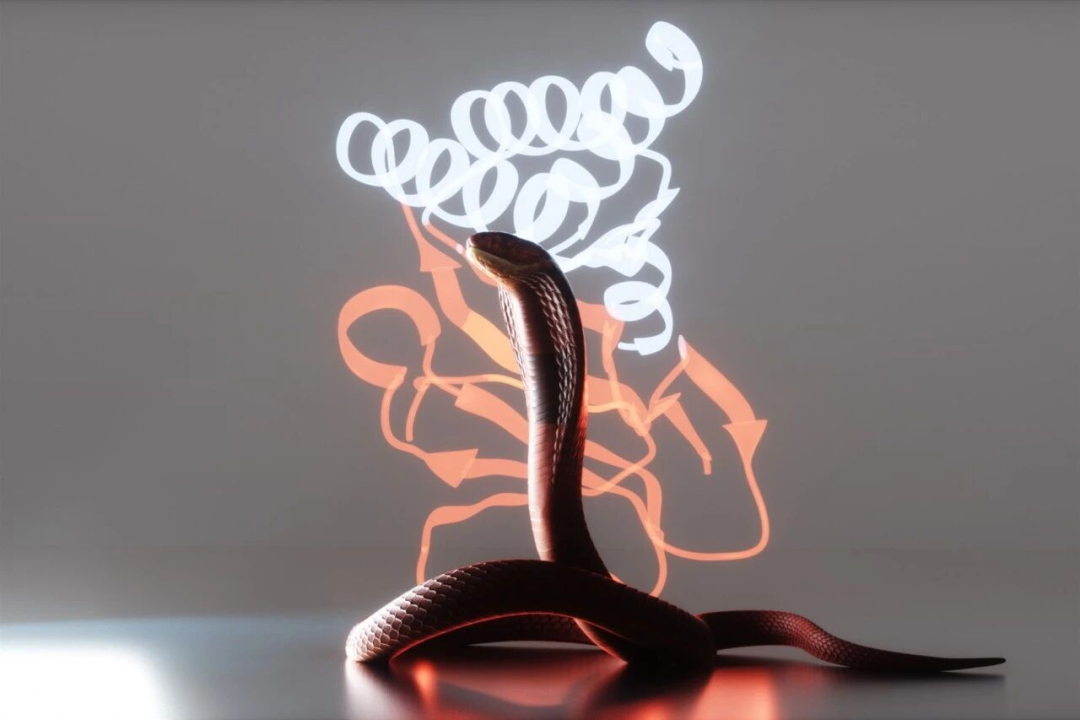 Mini-binders against snake venom toxins
