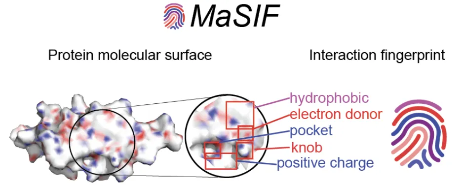 Designing against surface fingerprints