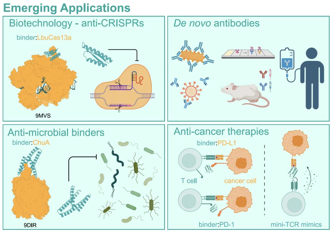 Designed proteins against CRISPR and resistant bacteria