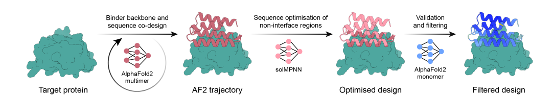 The RFdiffusion, ProteinMPNN and AlphaFold2 workflow
