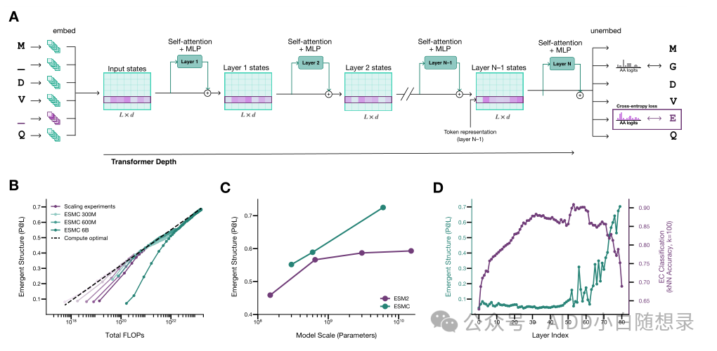 Figure 1: as pretraining compute grows, structural and functional information in ESMC representations keeps improving