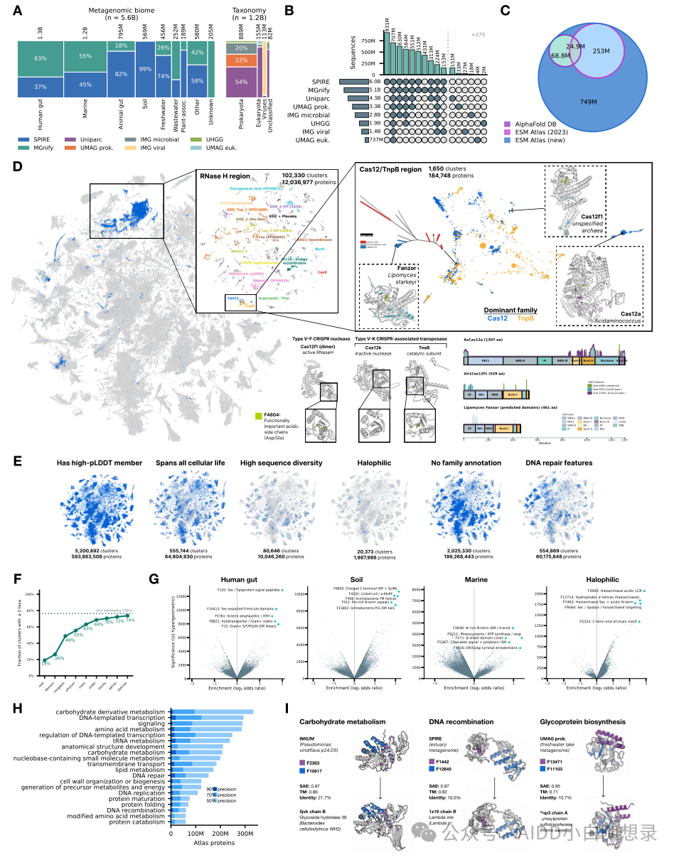 The ESM Atlas map: structure and function relationships across natural protein space