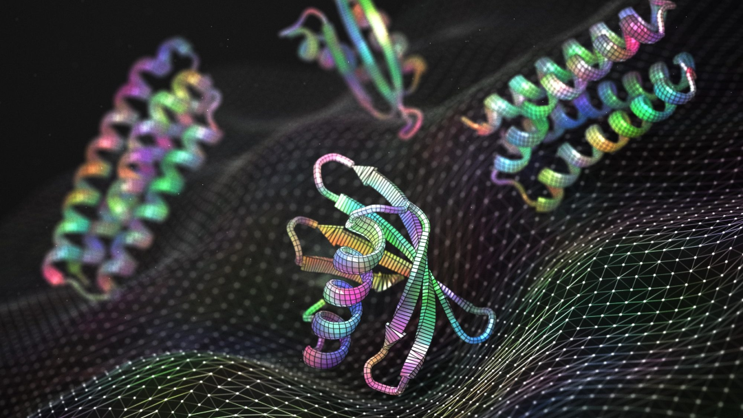 The idea behind hallucination design: invert a structure predictor and optimise the sequence until the predicted complex is confident