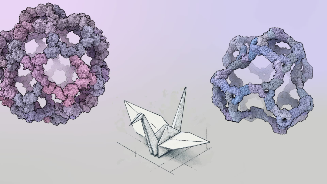 Rendering design at the atomic scale